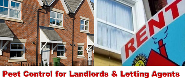 Birmingham Pest Control for Landlords and Lettting Agents